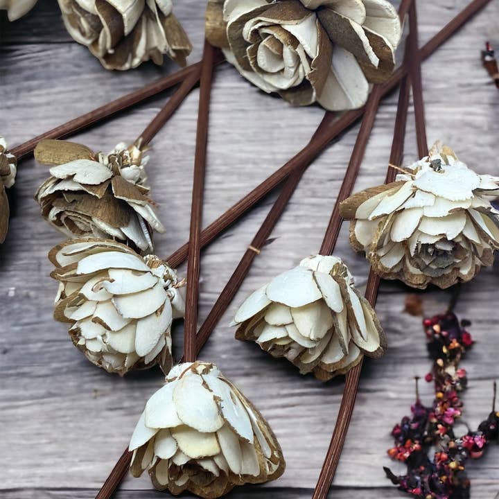 Sunsum Intentional Living - Wholesale Artificial Flowers - Assorted Mini Sola Wood Flower, 9” Rattan Wood Reed Diffuser1