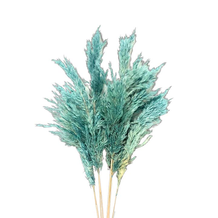 Botanico Ltd. - Wholesale Dried/Pressed Flowers - Pampas Grass Small8