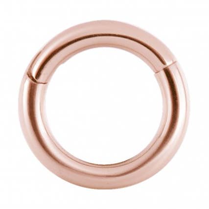 surgical steel snap ring for wholesale by Bodywings