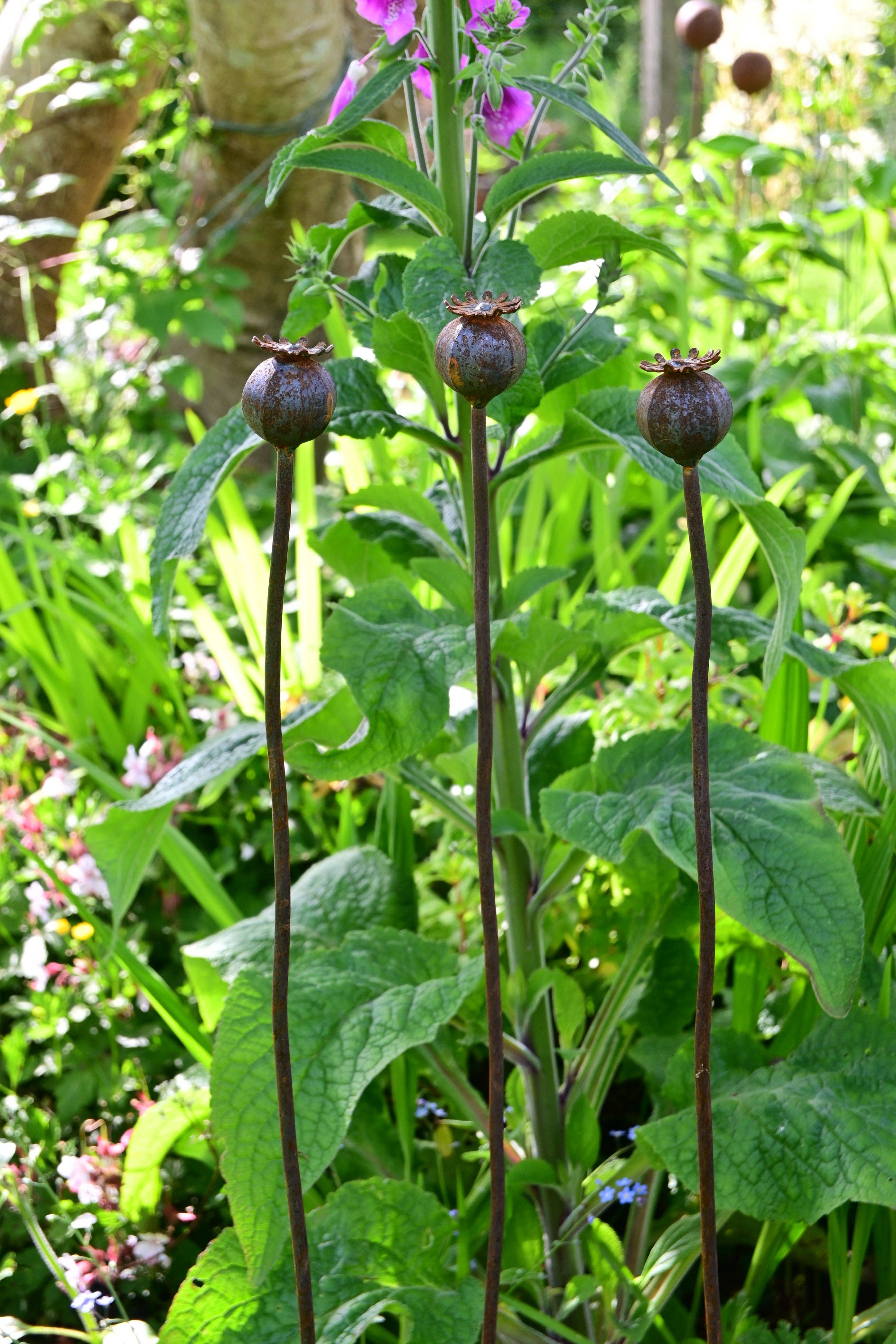 Savage Works – wholesale Garden/lawn stake – Wavy Poppy Seedhead2