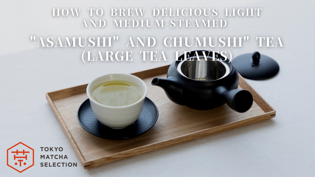 TOKYO MATCHA SELECTION - Venta al por mayor Teteras - Tetera Kyusu con Infusor de Cerámica Tokoname Japonesa hecha a mano11