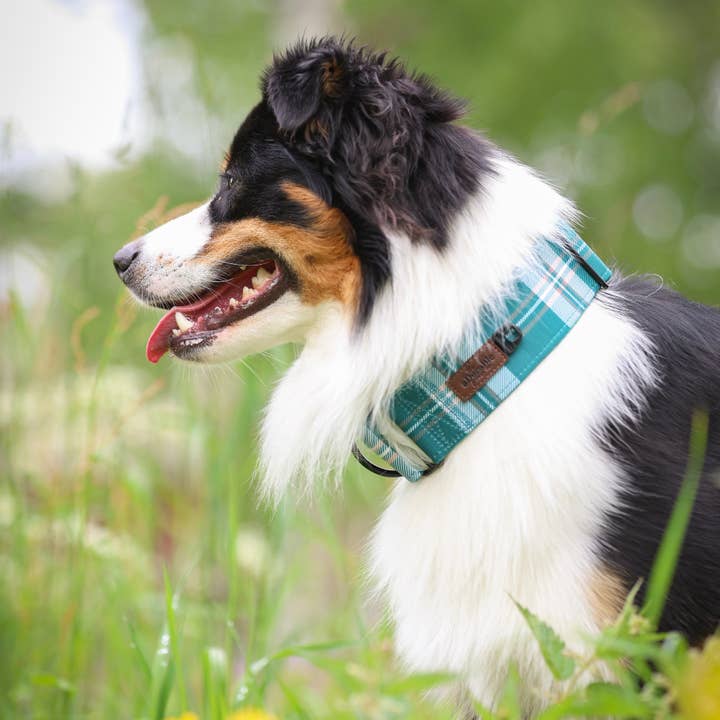 Heritage Martingale Collar - Pheasant Green for wholesale by The aDoraBle Pooch Company