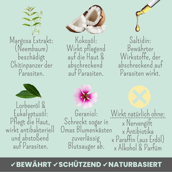 Noms+ - Venta al por mayor Spray para mascotas - Perros - Zpot-on para perros contra garrapatas, pulgas, ácaros y mosquitos2