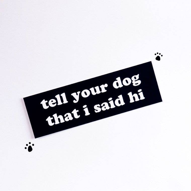 RAD Stickers + Doodads - Wholesale Sticker - Tell Your Dog That I Said Hi Bumper Sticker
