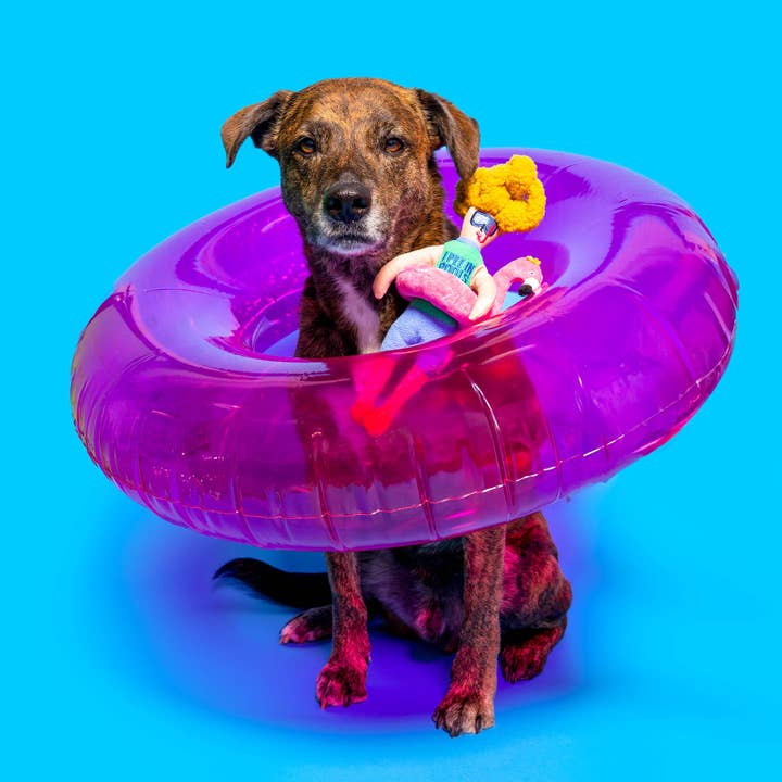 the furryfolks - Venta al por mayor Peluche - Perros - Juguete Flamingo Hooman para entrenamiento olfativo6