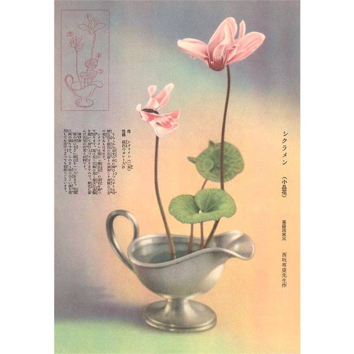 Magnet FC-229 Ikebana with Begonia for wholesale by Found Image Press