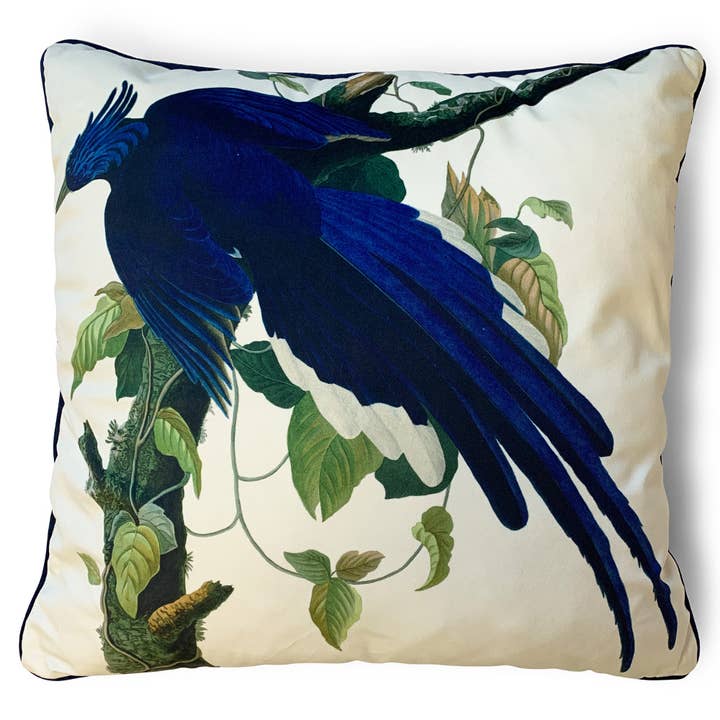 John James Audubon (Columbia Jay) 55X55 Kudde för wholesale av The Art Group