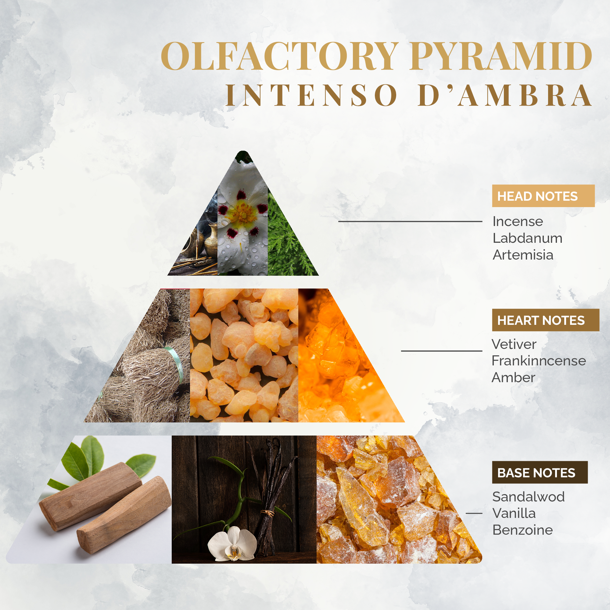 Logevy Firenze 1965 – wholesale Doftpinnar – Intensiv Amber Room doft 100 ml4