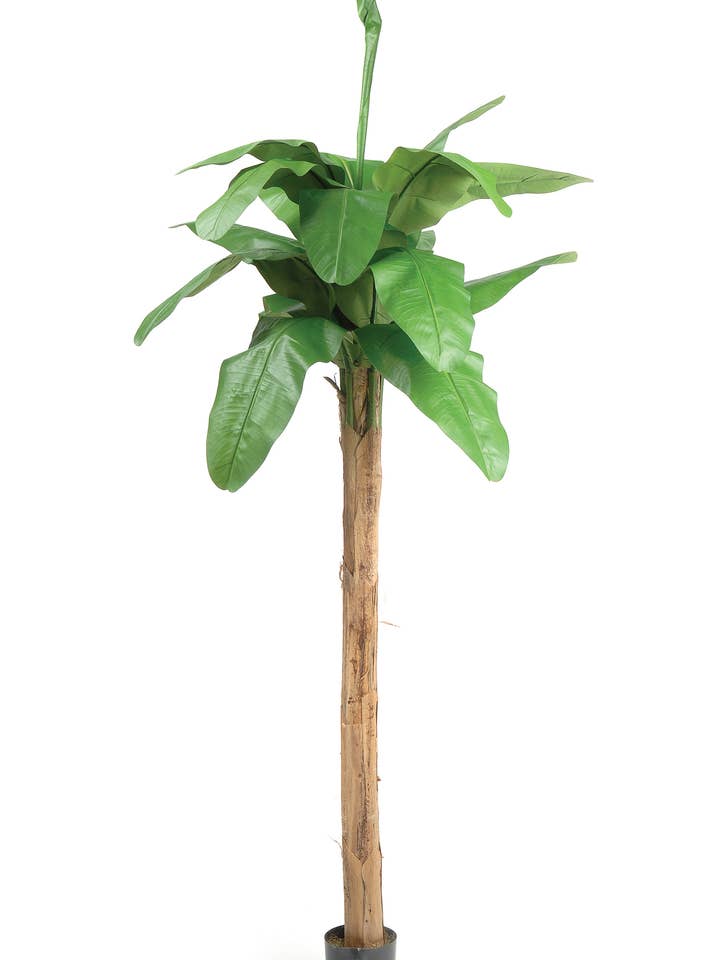 ARBRE À BANANES DE 9' (16 FEUILLES) AVEC POT pour la vente par Studio Specialties
