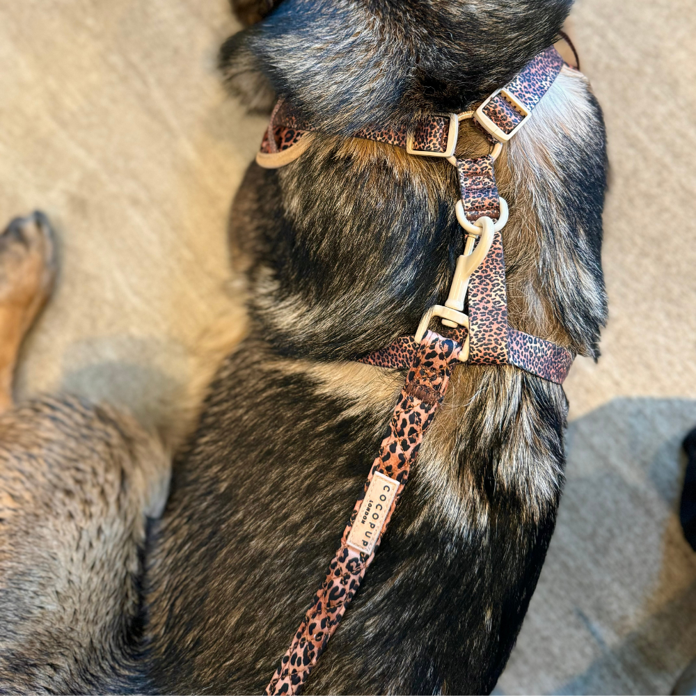 Cocopup London - Wholesale Pet Leash - Dog - Quilted Leopard Pup Lead12