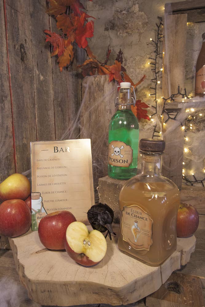 Tim&Puce Factory - Venta al por mayor Pegatina - Set de decoración Bar de los Aprendices de Hechicero6