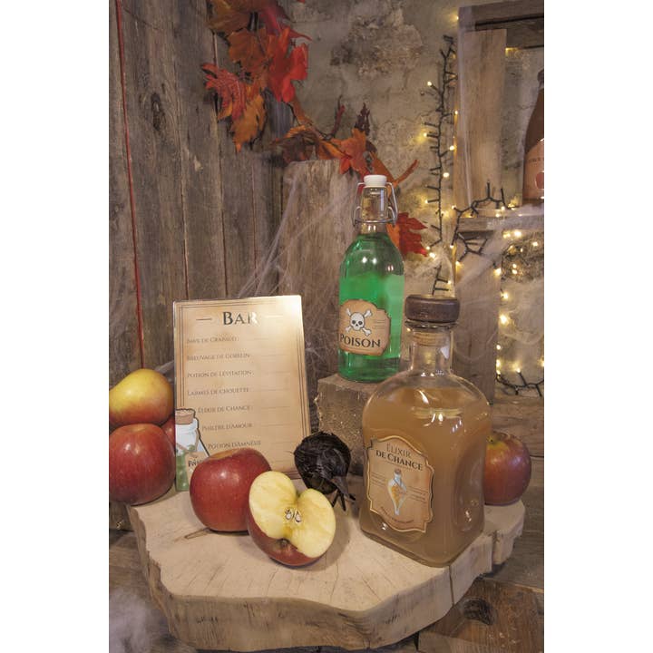 Tim&Puce Factory - Venta al por mayor Pegatina - Set de decoración Bar de los Aprendices de Hechicero6