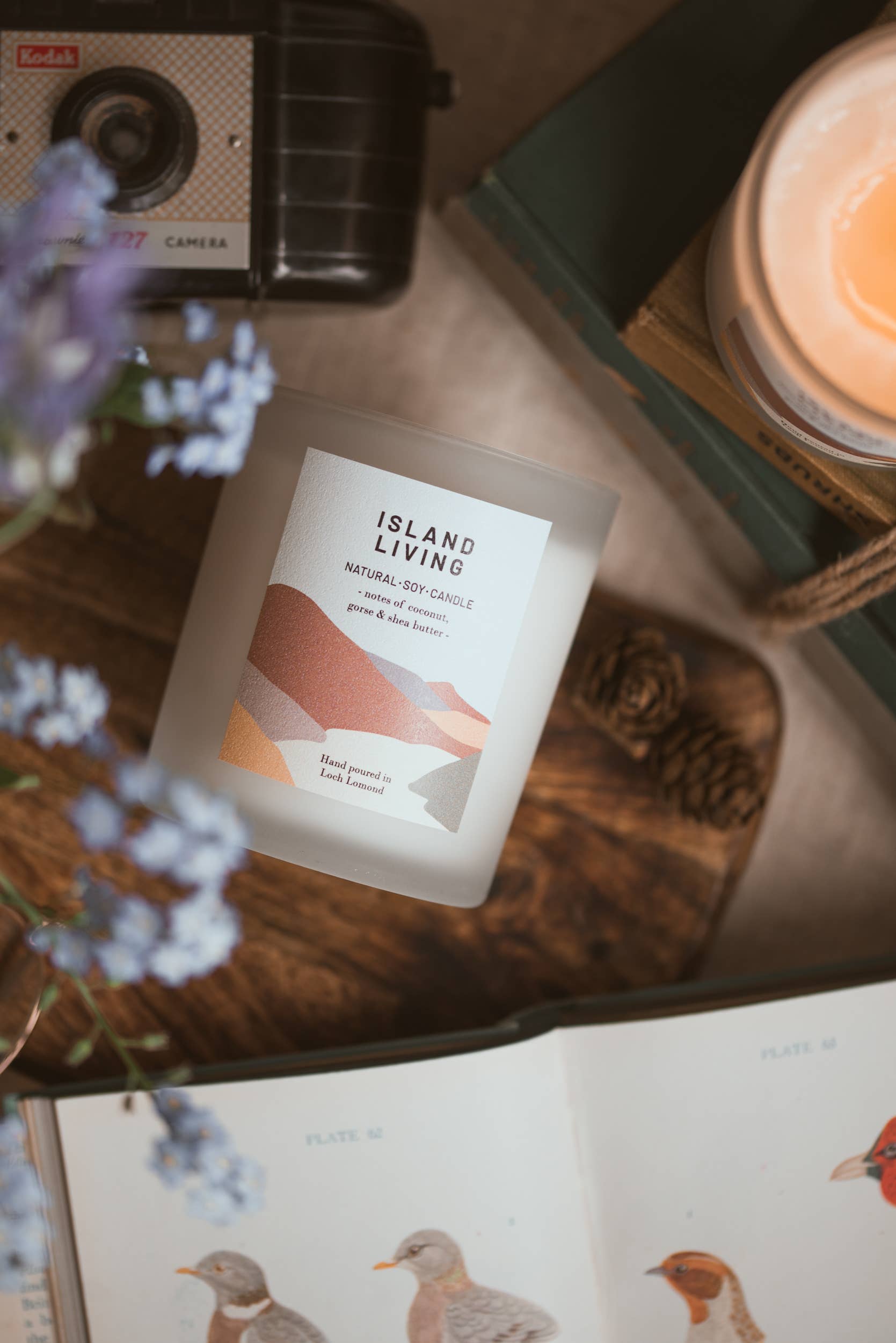 Ocoee House - Vendita all'ingrosso Candela in vasetto - Candela profumata biologica e vegana Island Living | Ocoee House12