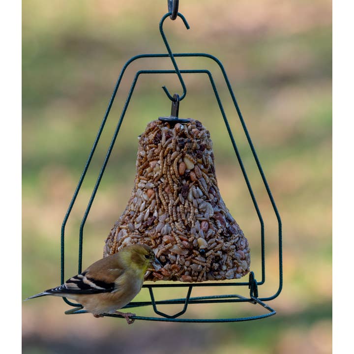 Mr Bird - Wholesale Bird Feeder - Seed Bell Hanger