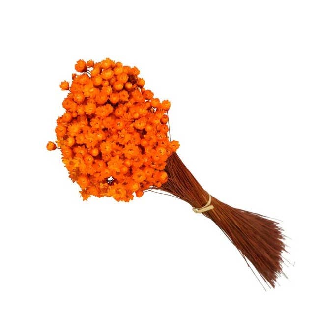 .AVPV. Studio - Wholesale Artificial Flowers - Glixia mini star flowers4