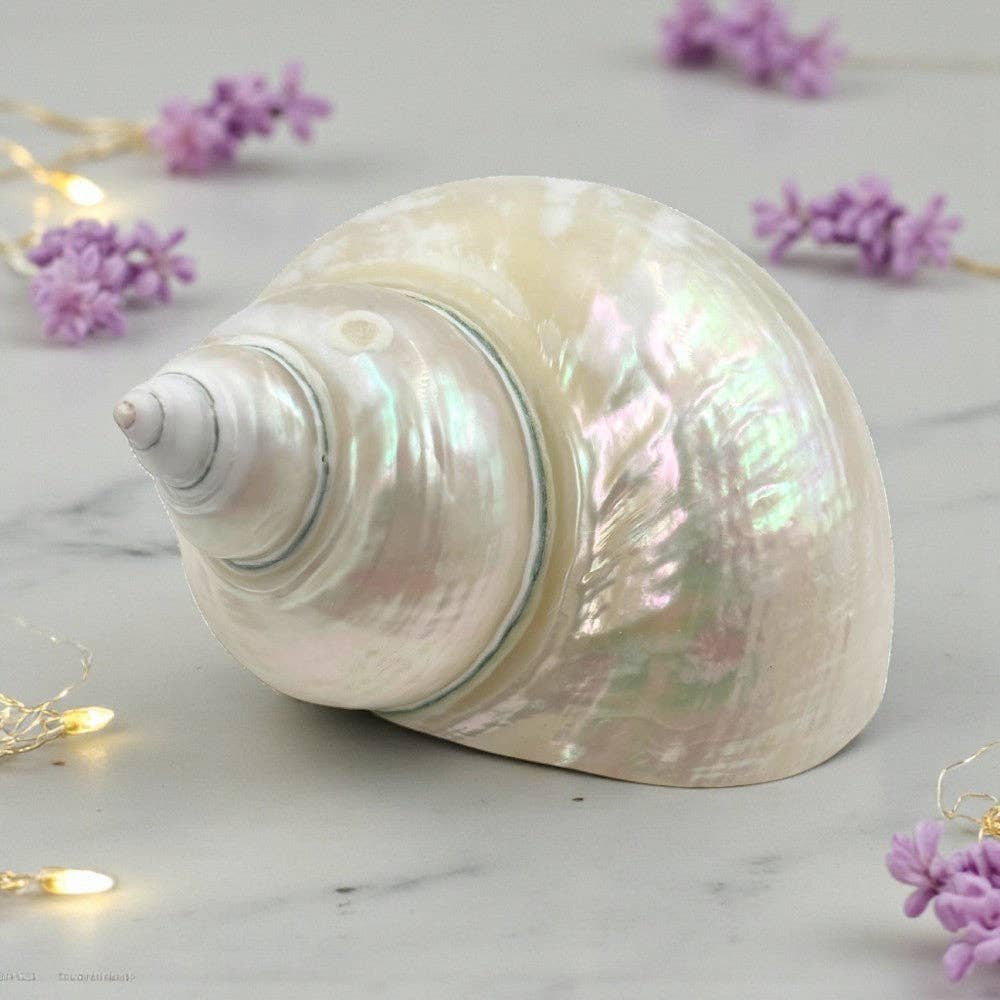 Earths Elements Wholesale - Vente Pierre et cristal de spiritualité - Turban en jade nacré