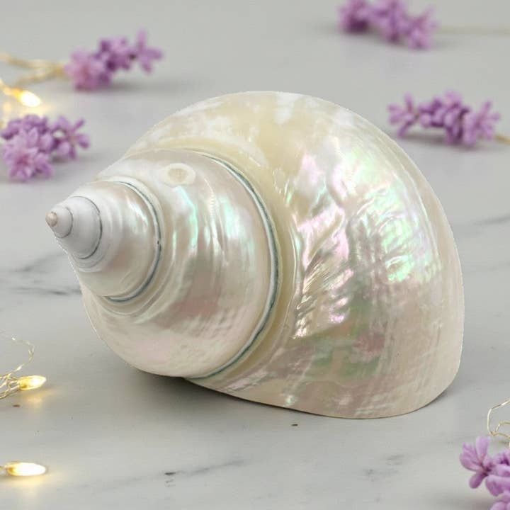 Earths Elements Wholesale - Vente Pierre et cristal de spiritualité - Turban en jade nacré0