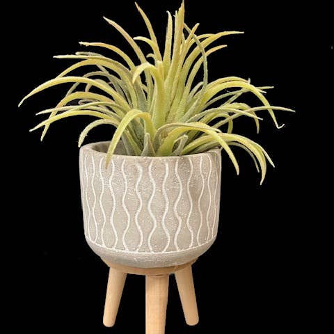 Will's Company - Wholesale Plant Pot - Cement Planter with Tripod Wood Legs - 4 styles, 4.5" H1
