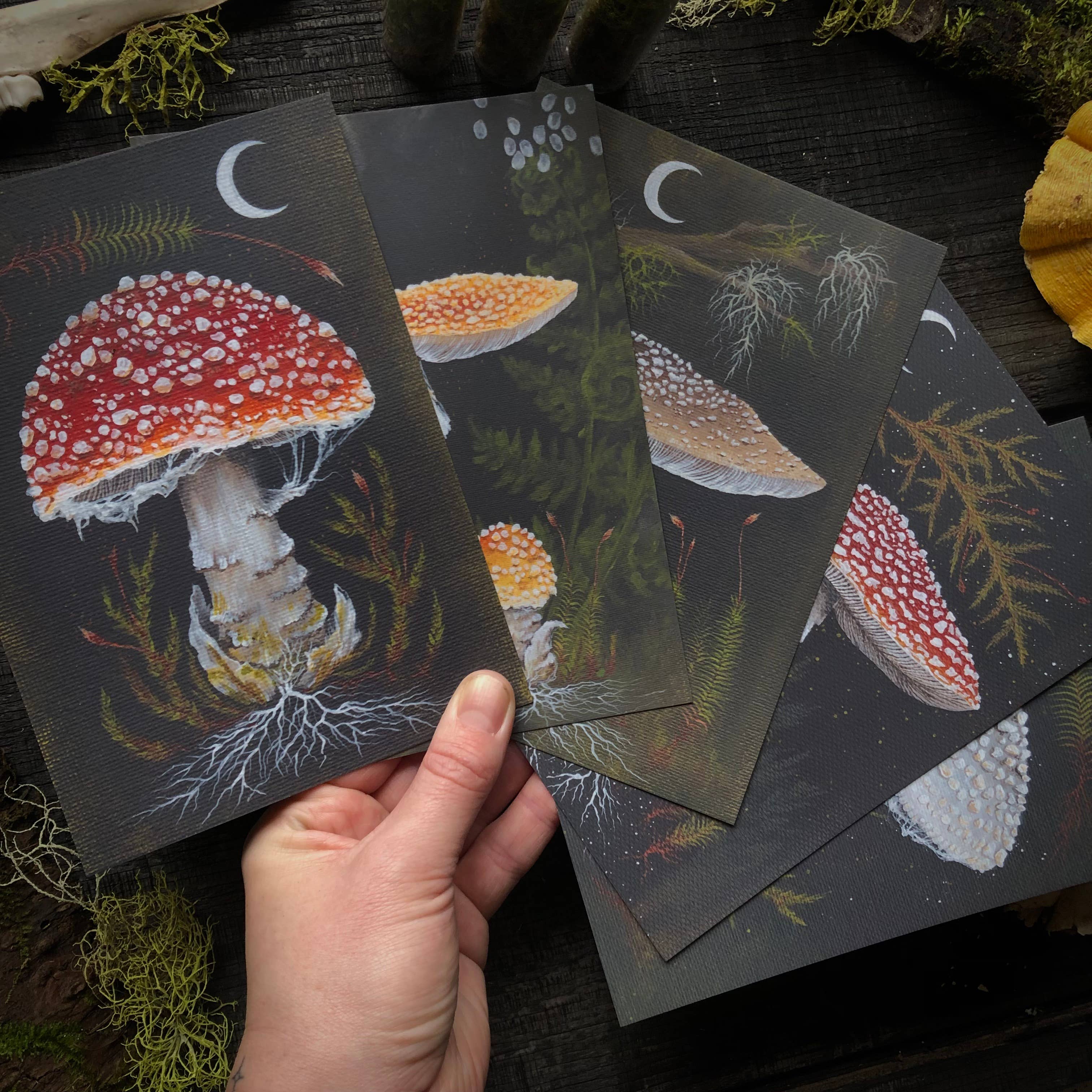 Up Moss Creek Studio - Wholesale Postcard Set - Amanita Mushroom Postcard Set3