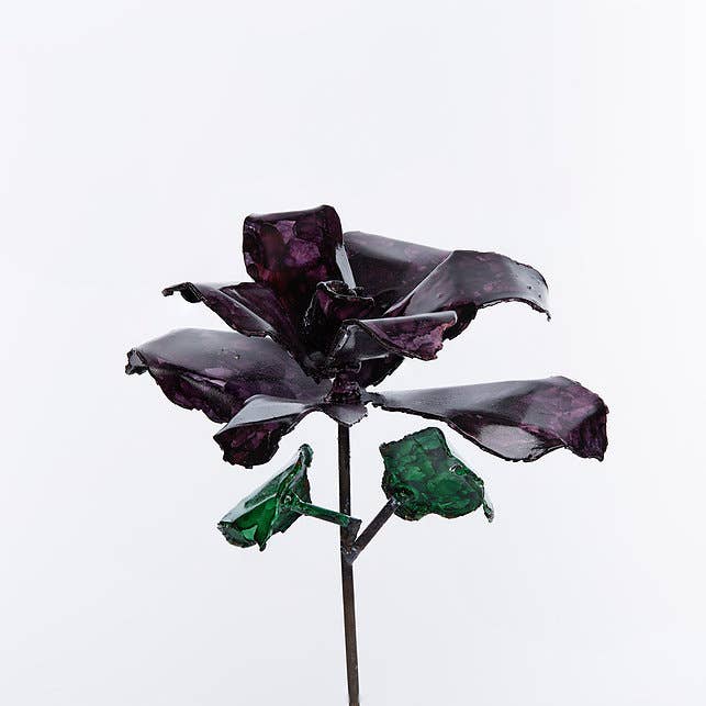 Paarse roos voor wholesale door Bobbianne's Flowers