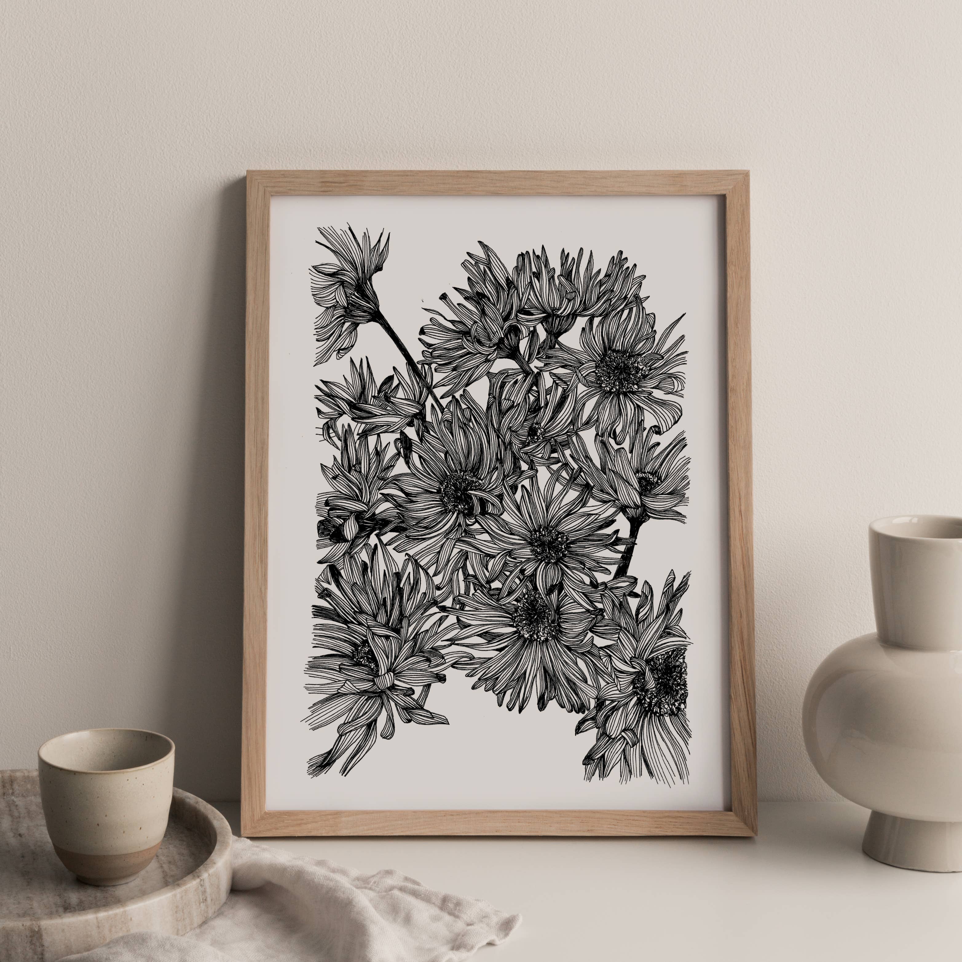 monocotylédone - Wholesale Poster - Asteraceae, poster A41