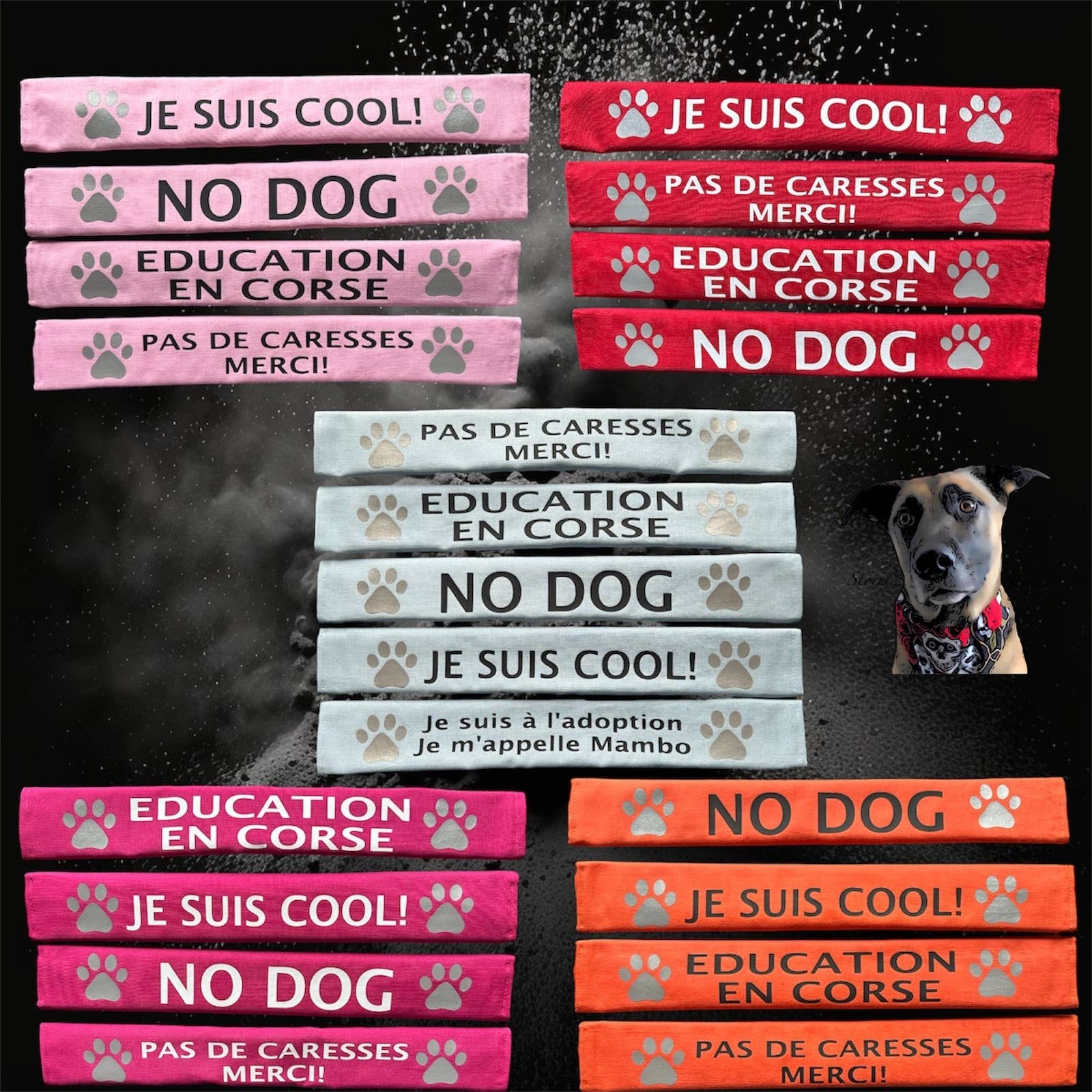 Storms Style – wholesale Pet leash – Dog – Lead Slips - Reactive, Nervous, Blind, Deaf, Friendly6