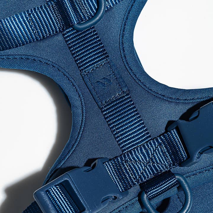 Wild One - Wholesale Pet Harness - Dog - Harness33