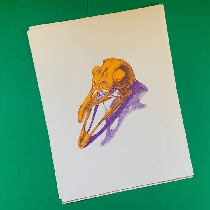 Psychedelic Lens - Wholesale Art Print - Bird Skull Riso Print