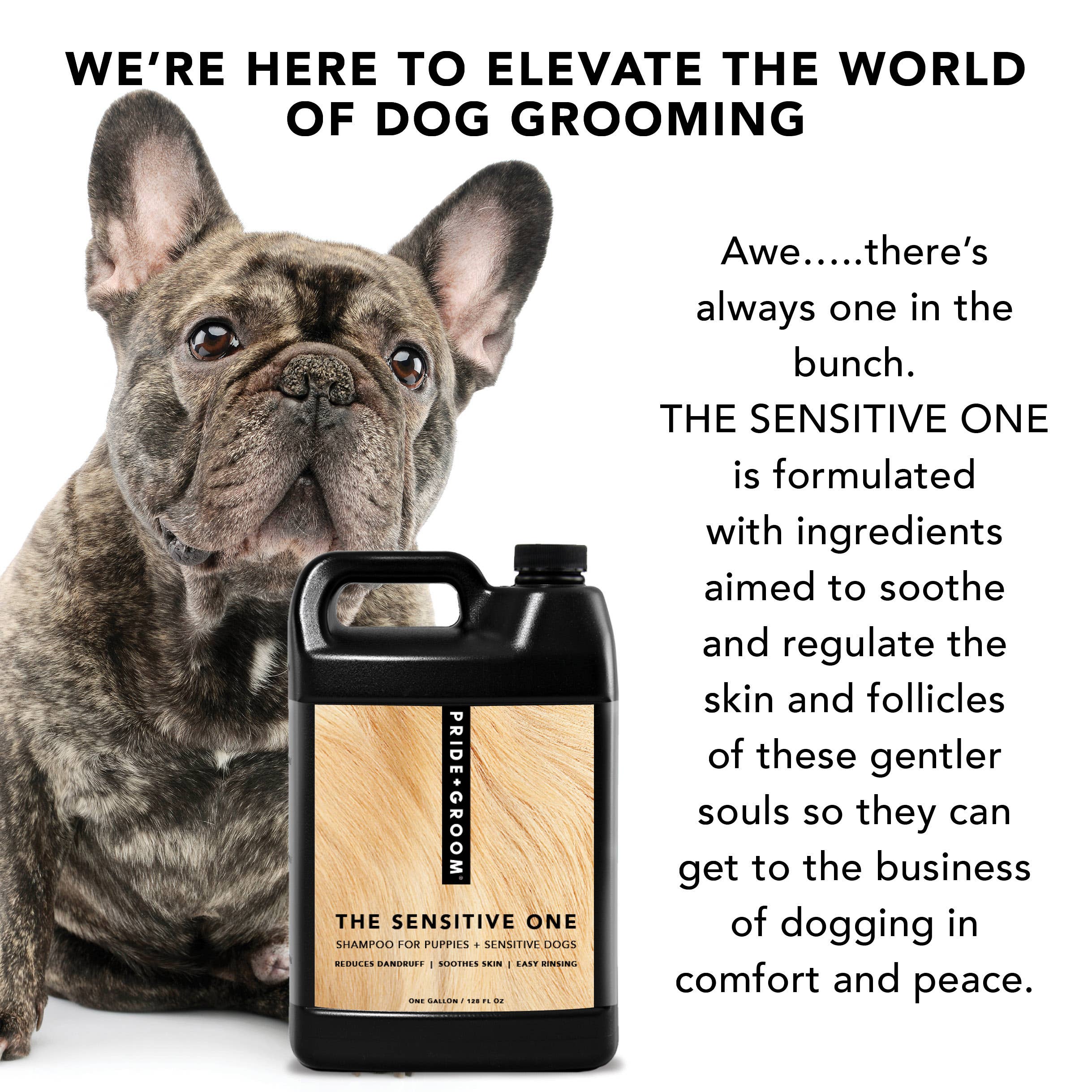 PRIDE+GROOM - Wholesale Hondenshampoo - Hond - DE GEVOELIGE GALLON VOOR PROFESSIONEEL GEBRUIK3