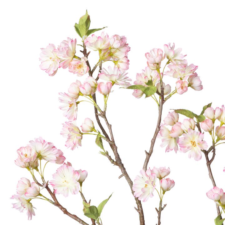 Park Hill Collection - Wholesale Artificial Plant - Cherry Blossom Branch