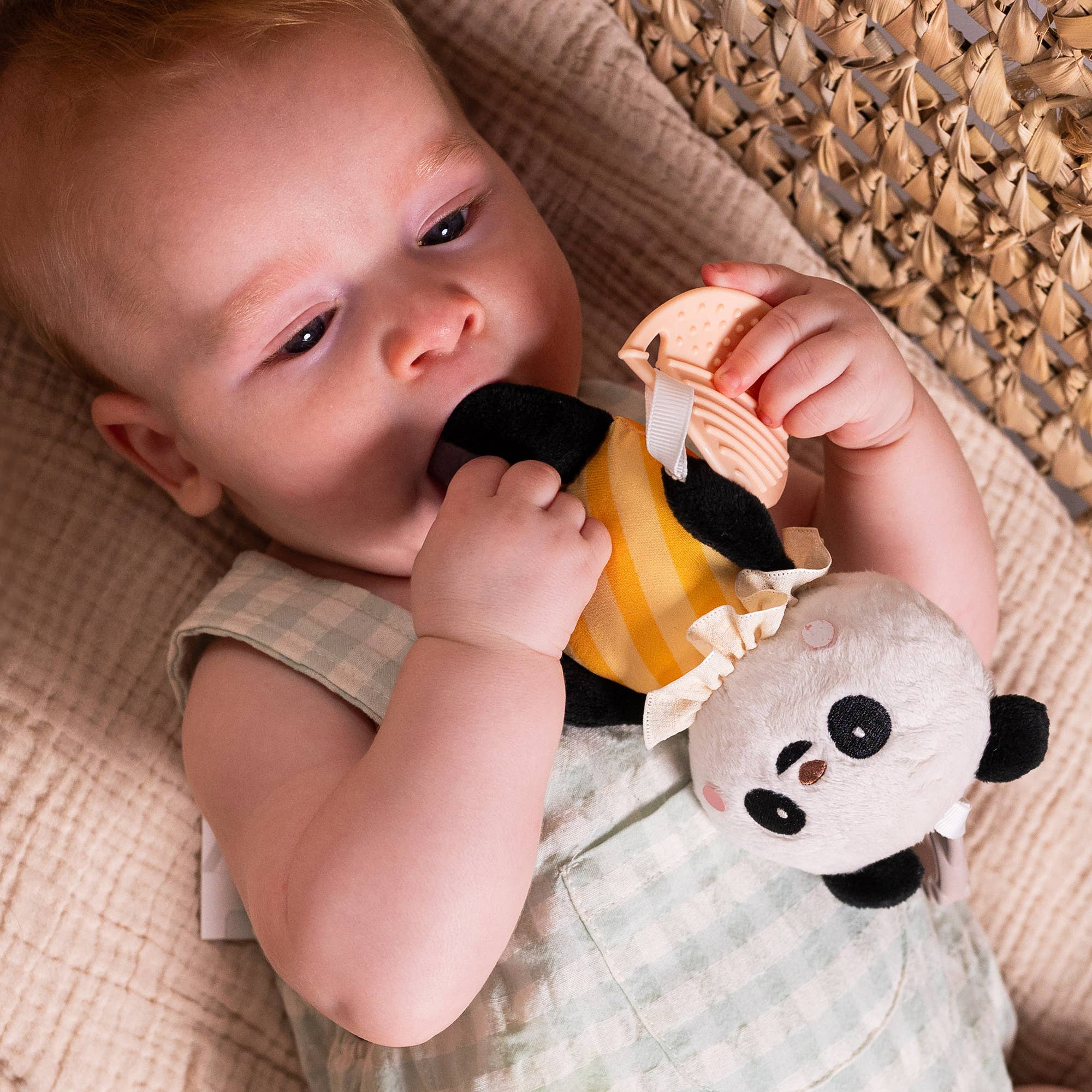 Taf Toys – wholesale Stuffed/plush toy – Kids & baby – Taf Toys Pamela Activity toy1