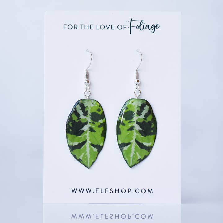 Aglaonema Pictum Tricolor Plant Earrings | Leaf Earrings for wholesale by For the Love of Foliage