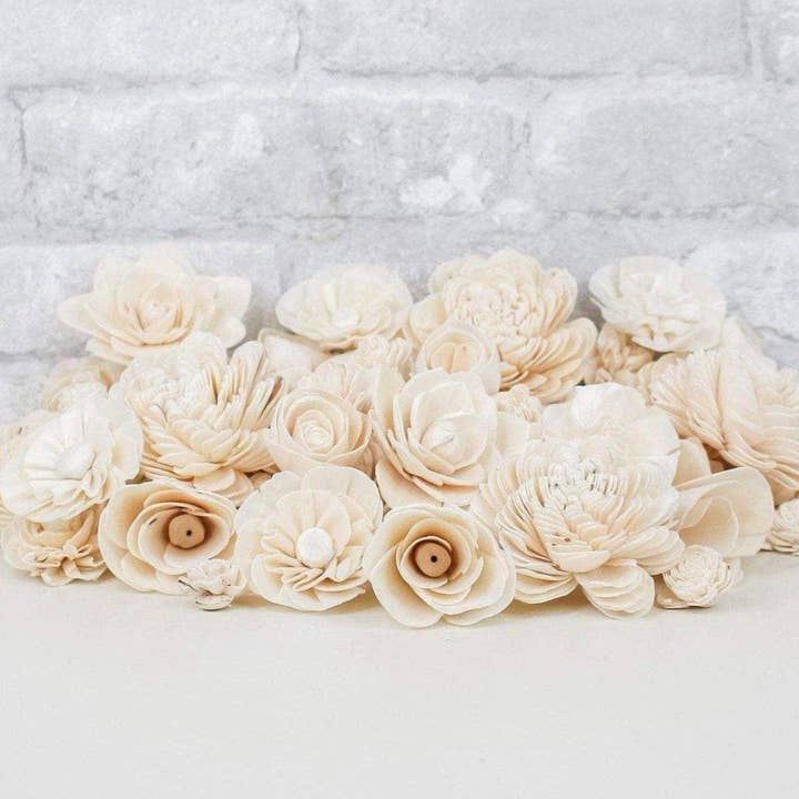 50 Random Assortment - No Bark for wholesale by Sola Wood Flowers