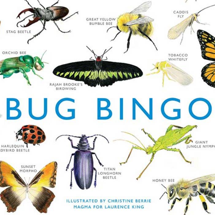 Bug Bingo for wholesale by Raincoast Distribution Group