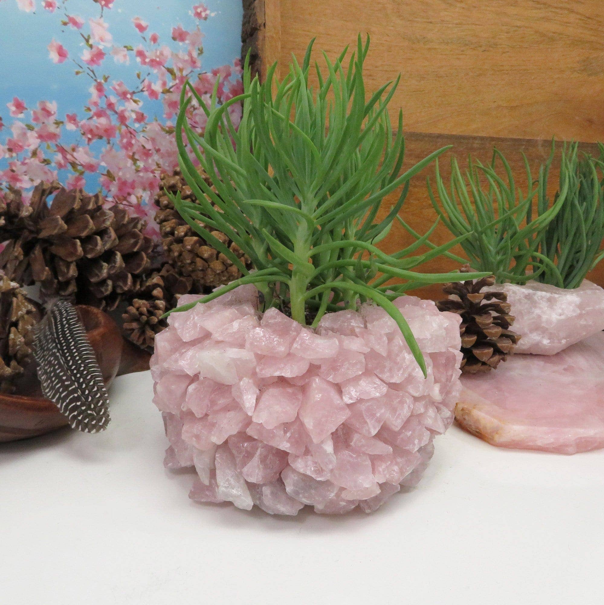 Rock Paradise - Wholesale Plant Pot - Rose Quartz Crystal Planter Pot1