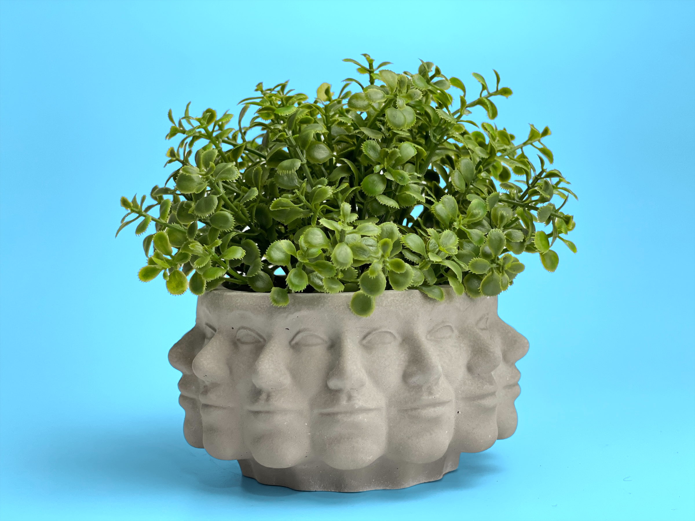 Planters Made in the USA - Wholesale Plant Pot - Multi Face Succulent Planter, Polyface Pot, Air plant Holder4