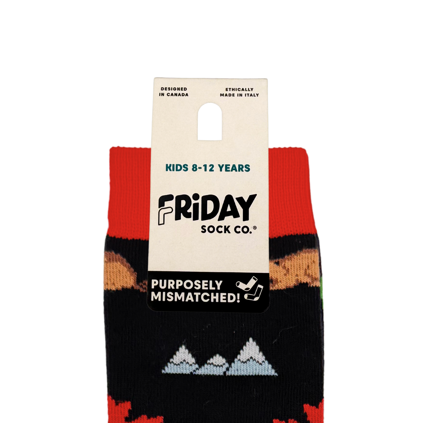 Friday Sock Co. – Meias - Crianças por atacado – Meias Ícones do Canadá para Crianças3