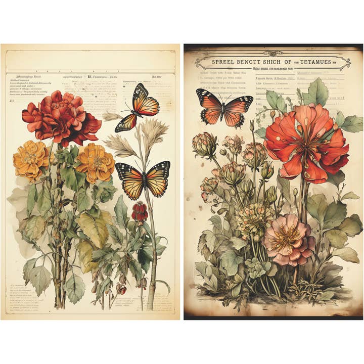 Craft Kreatively - Venta al por mayor Material para manualidades - Páginas Botánicas Decoupage Papel de Arroz - A4 - 6 piezas – Manualidades