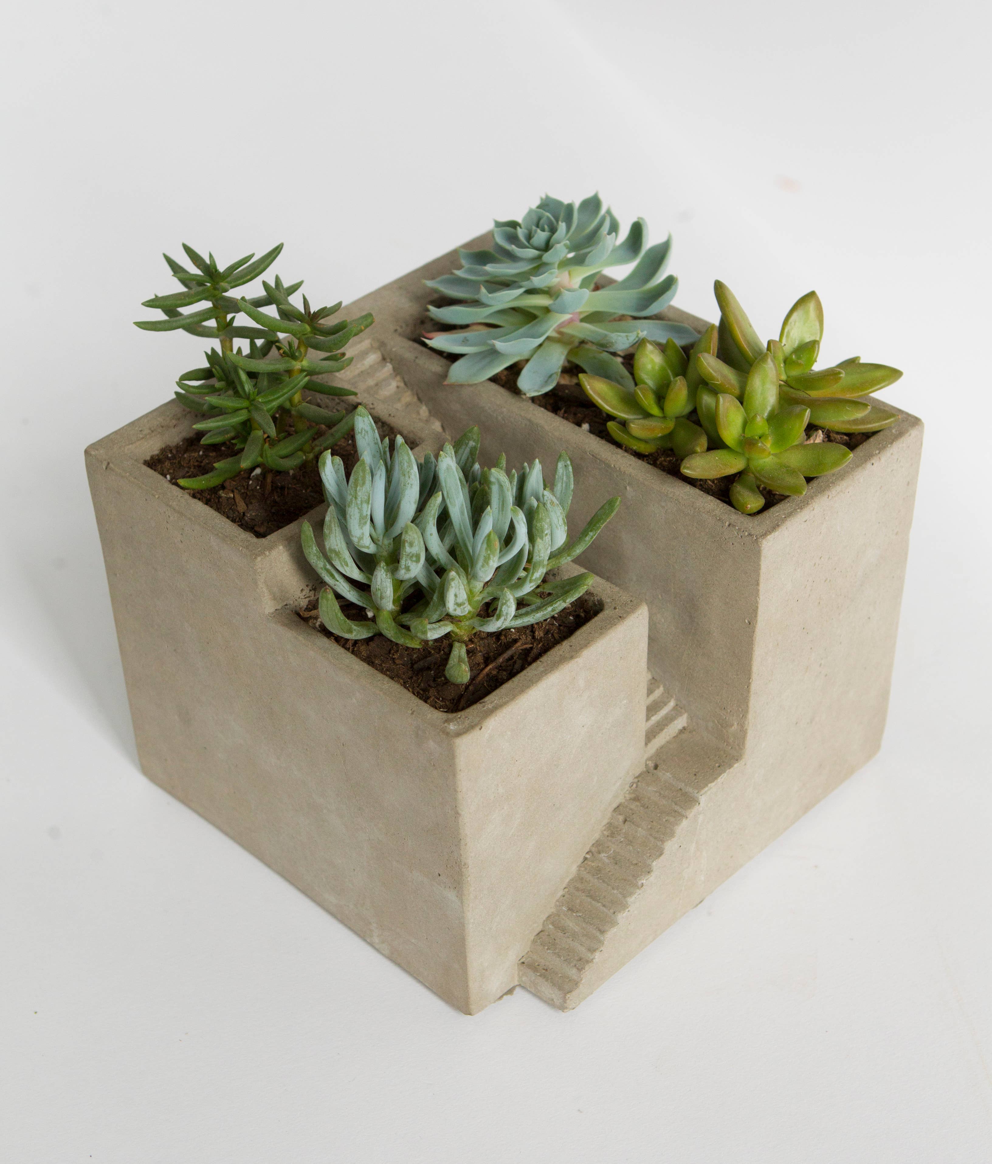 Vagabond Vintage - Wholesale Planter Box - Cement Architectural Cube Planter III1