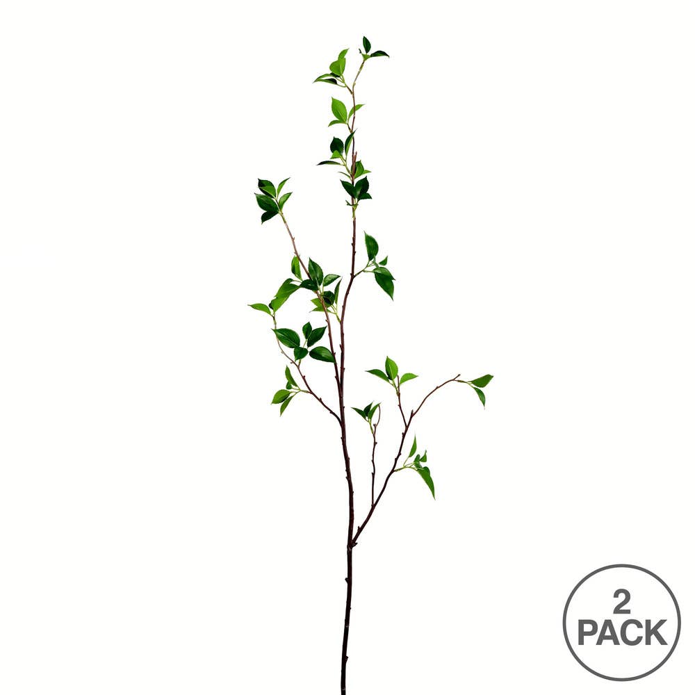 Vickerman 48" Green Baby Leaf 2/pk for wholesale on Faire2