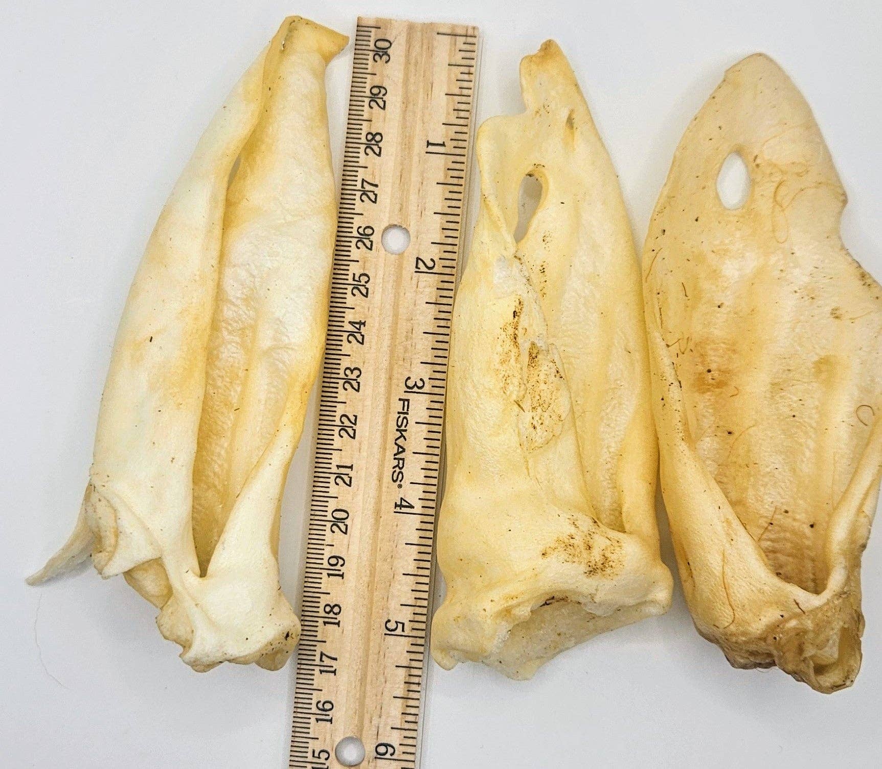 Blue's Colorado - Wholesale Pet Treats - Dog - Pet Provisions Lamb Ears3