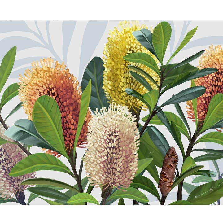 "Saltbush" |Australian Coastal Banksia Print- Landscape for wholesale by Banksia Blue Studio