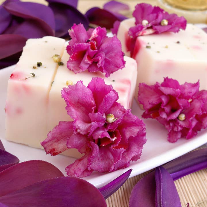 Priscila Leen Arts at Florida Soap Candle - Wholesale Bar Soap - Coconut Soap/Bath, local,bar soap, gentle soap,artisan1