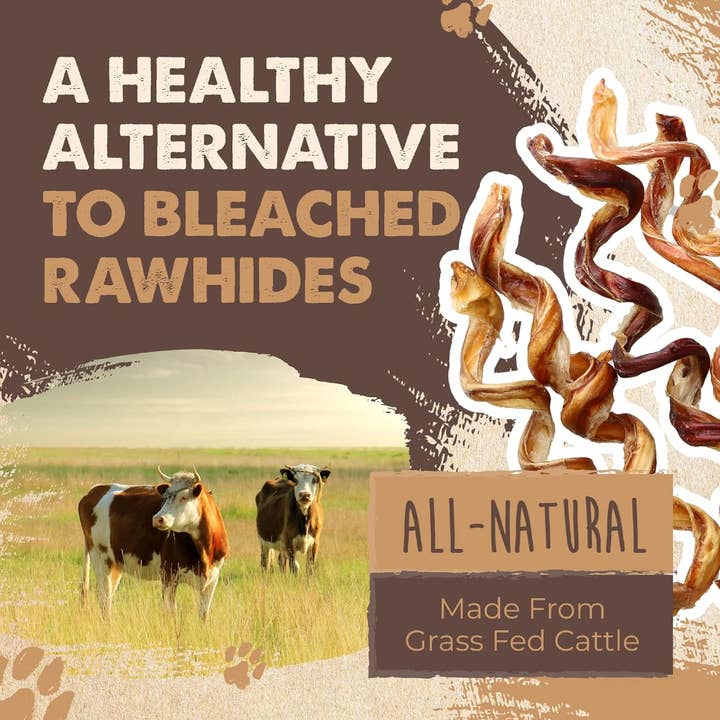 Mighty Paw - Wholesale Pet Treats - Dog - All-Natural Bully Stick Curls7