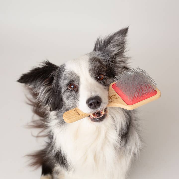 Tek Brushes - Wholesale Huisdierenborstel - Kat/Hond - Borstel voor honden en katten, grote maat en lange vacht1