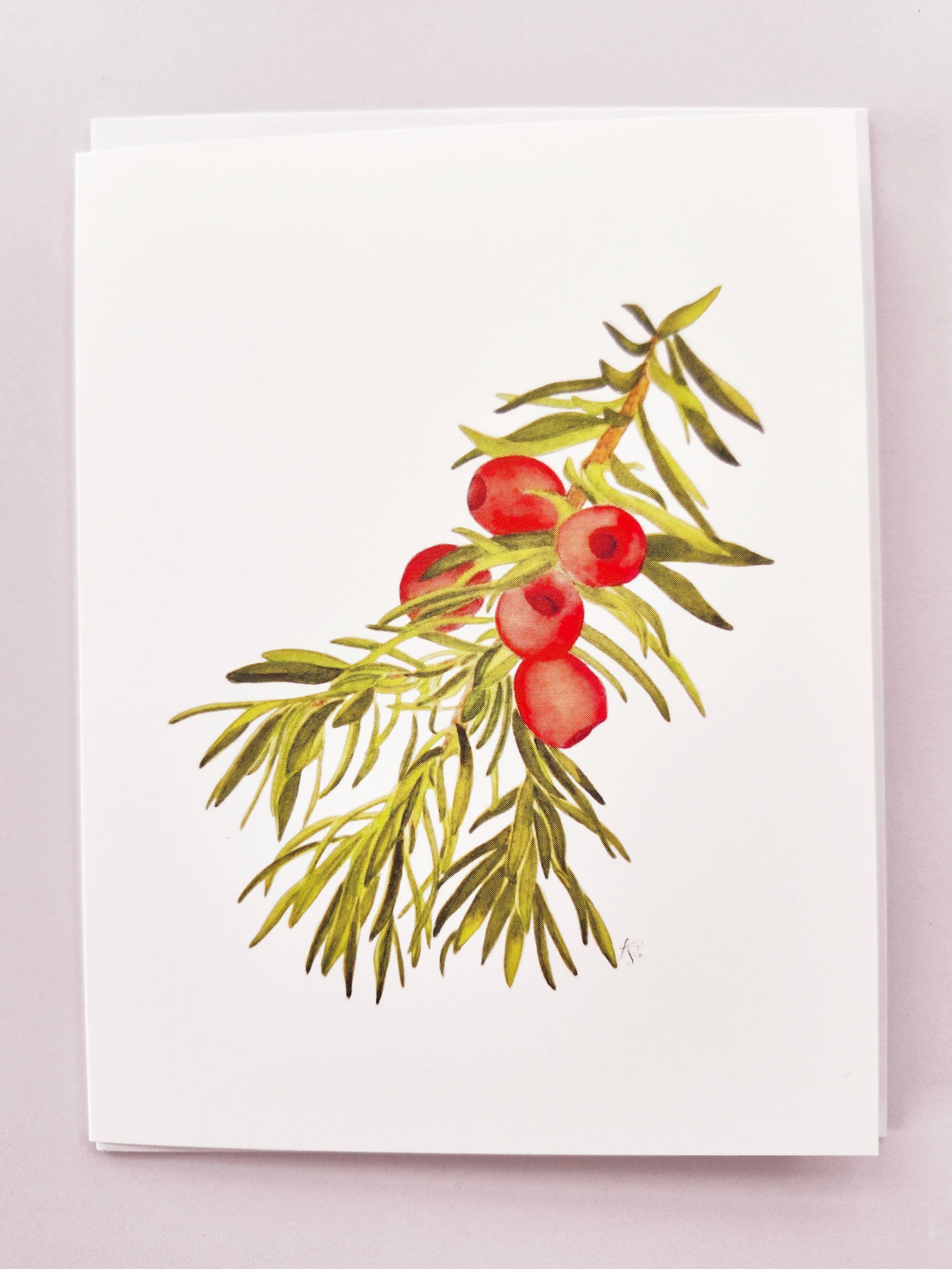 Redbriar Studio - Wholesale Stationery/Notecard Set - Notecards37