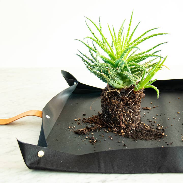 Botanopia USA - gifts , decor and cards for plant lovers - Wholesale Garden Tool - Potting tarp for urban gardening2