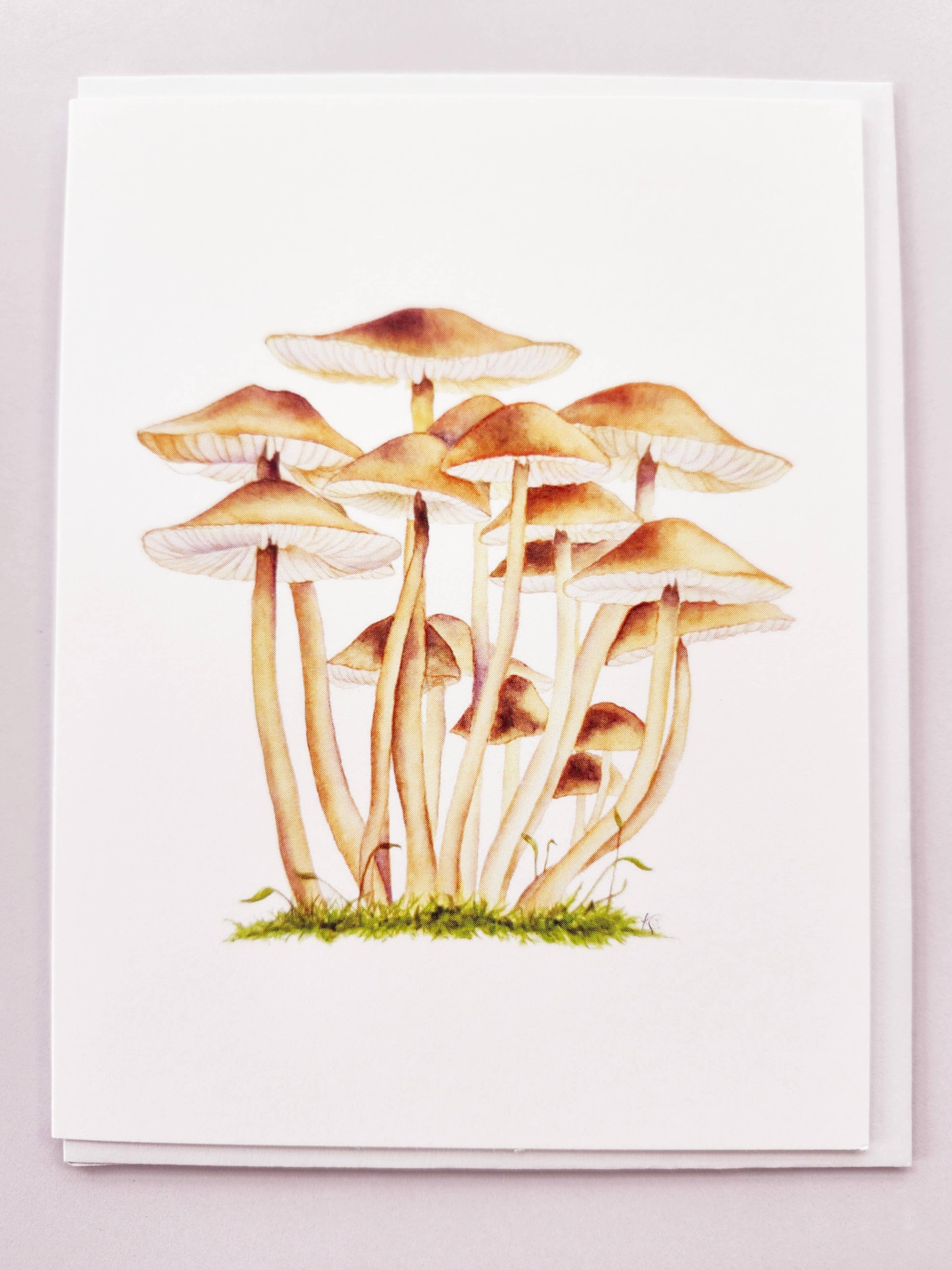 Redbriar Studio - Wholesale Stationery/Notecard Set - Notecards23