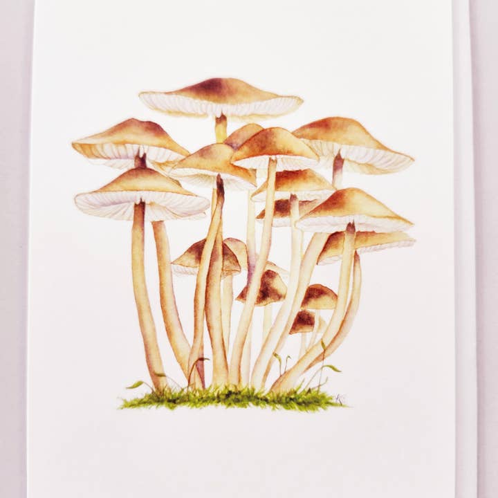 Redbriar Studio - Wholesale Stationery/Notecard Set - Notecards23