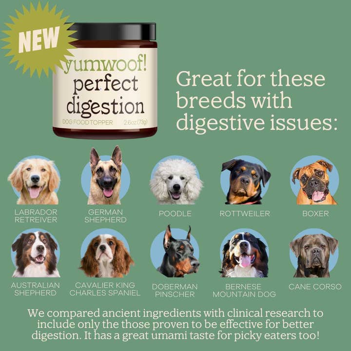 Yumwoof Natural Pet Food - Wholesale Pet Supplement - Dog - Perfect Digestion 5